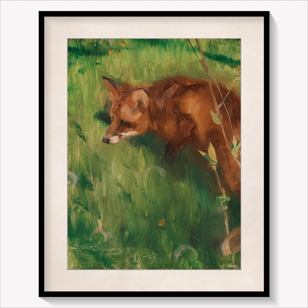 Stalking Fox
