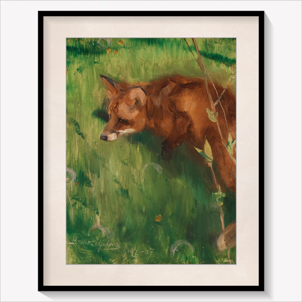 Stalking Fox
