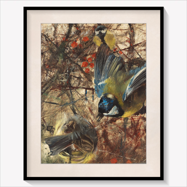 Tall Goshawks