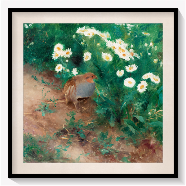 Partridge with Daisies