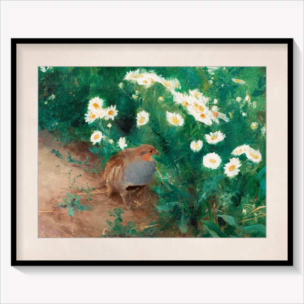 Partridge with Daisies