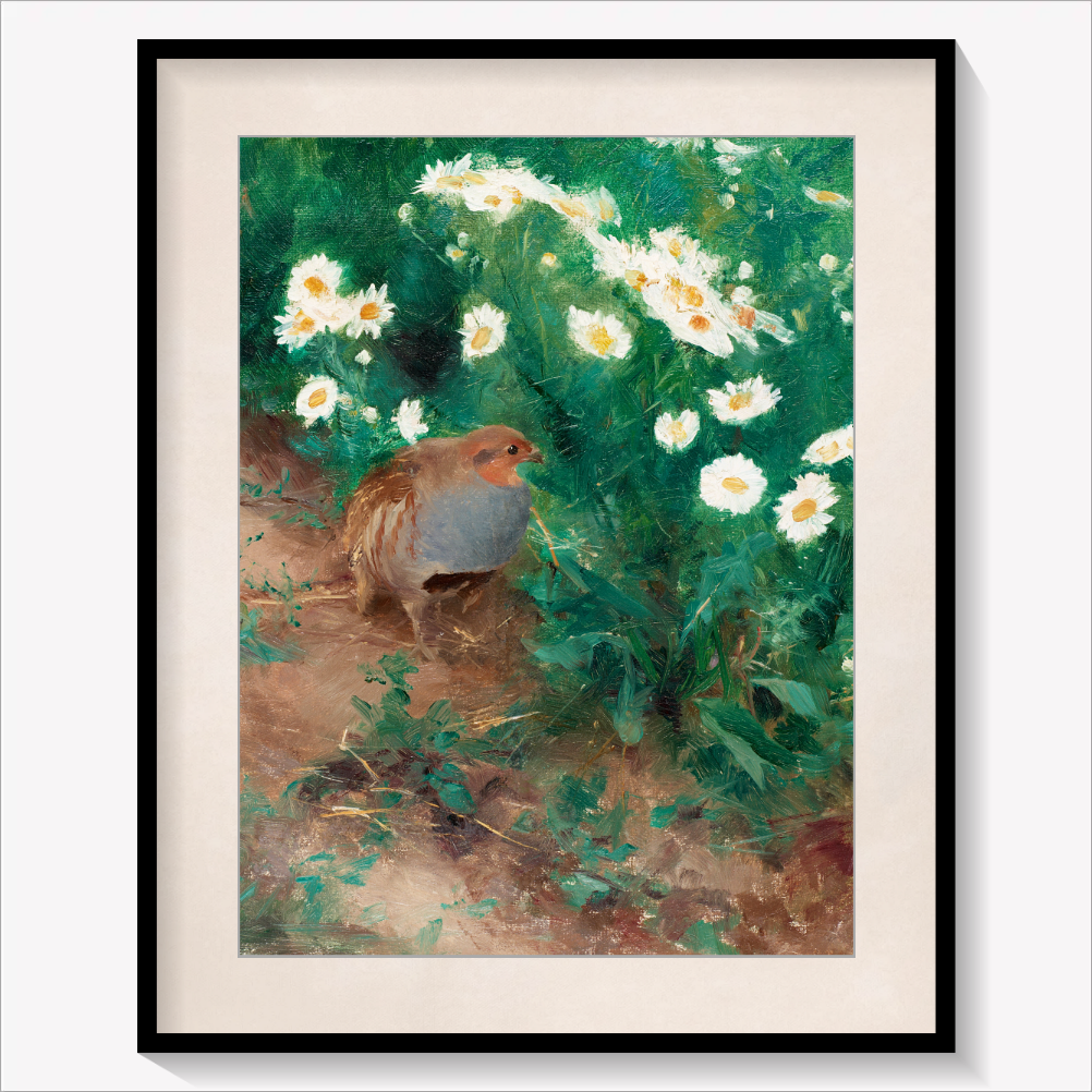 Partridge with Daisies