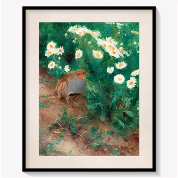 Partridge with Daisies