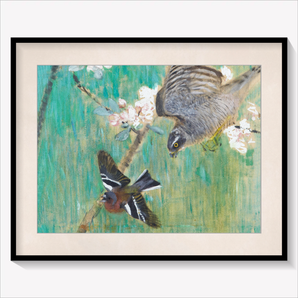 Chasing Chaffinch