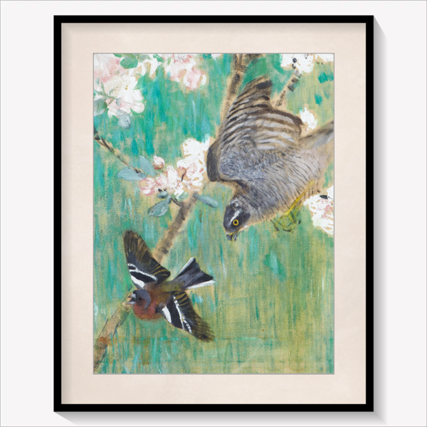 Chasing Chaffinch