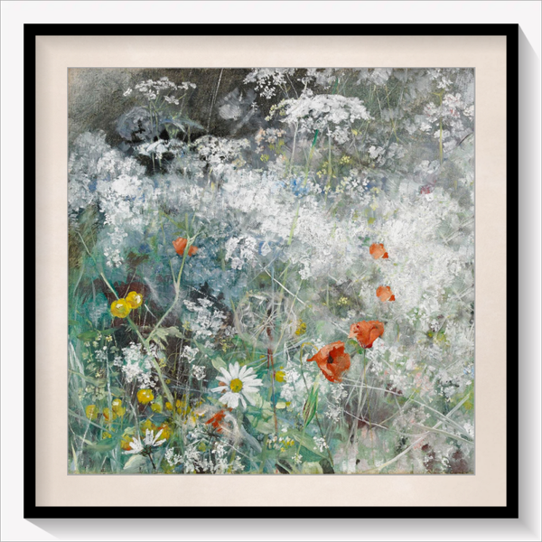 Wildflower Meadow