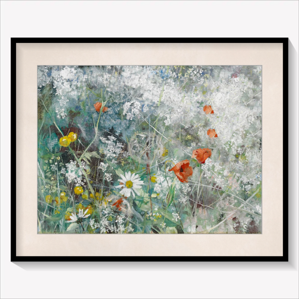 Wildflower Meadow