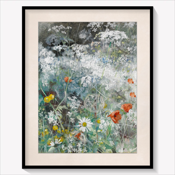 Wildflower Meadow