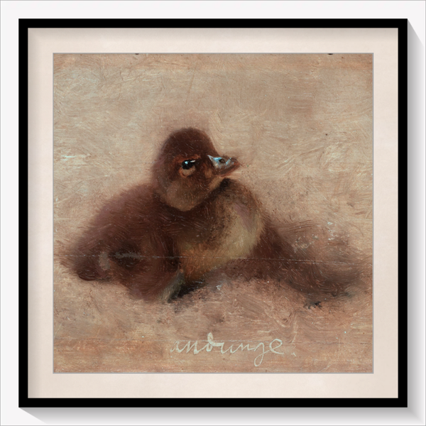 Duckling