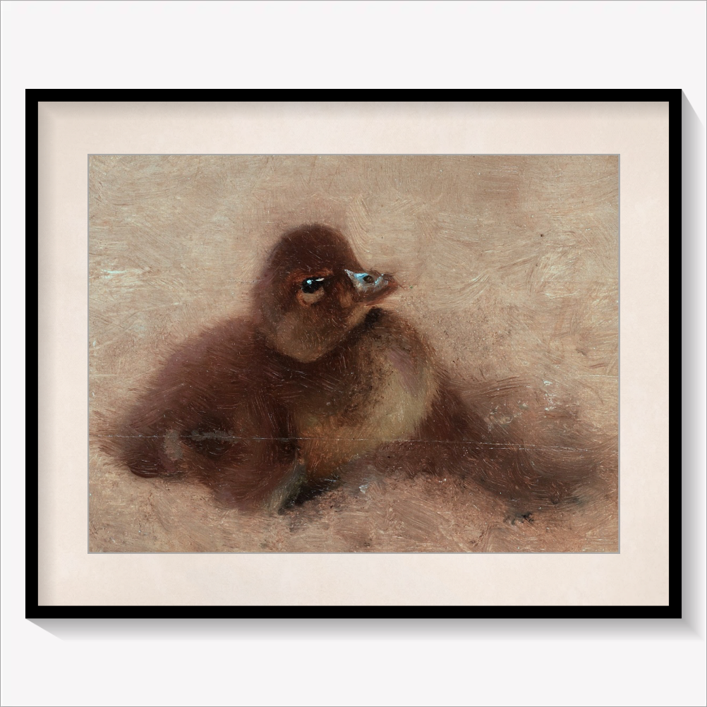 Duckling