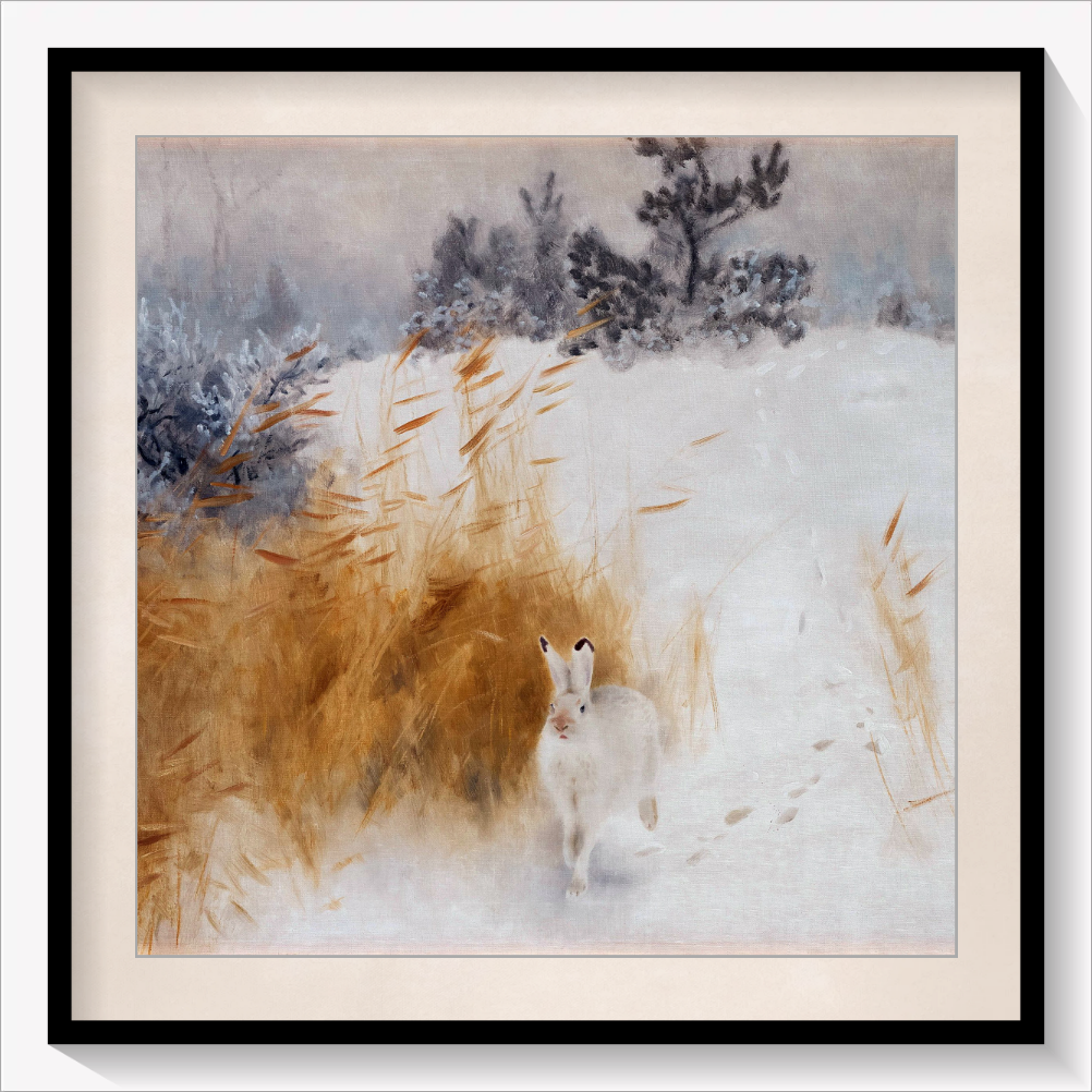 Winter Hare