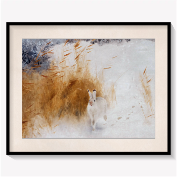 Winter Hare