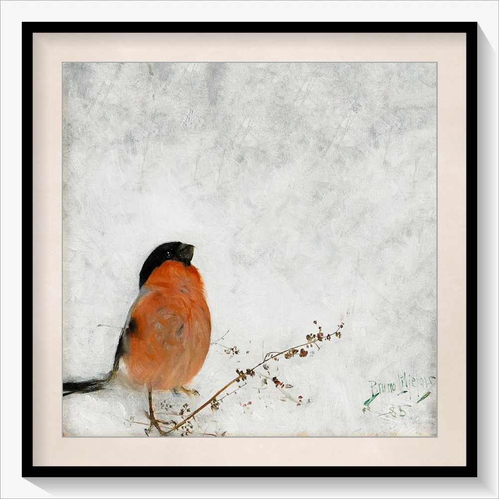 Robin