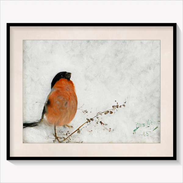 Robin