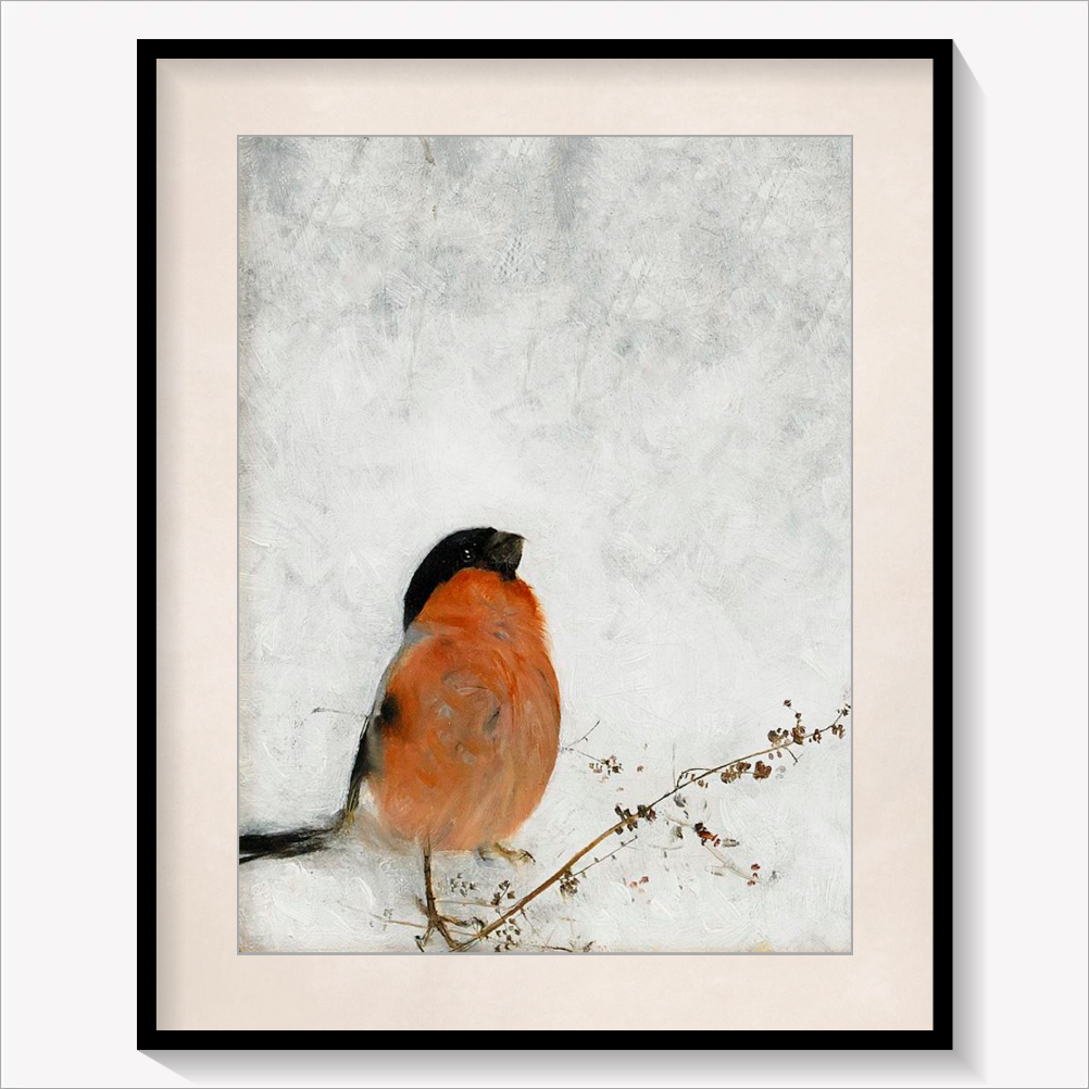 Robin