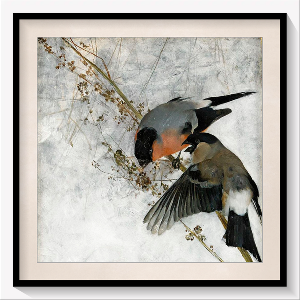 Bullfinches