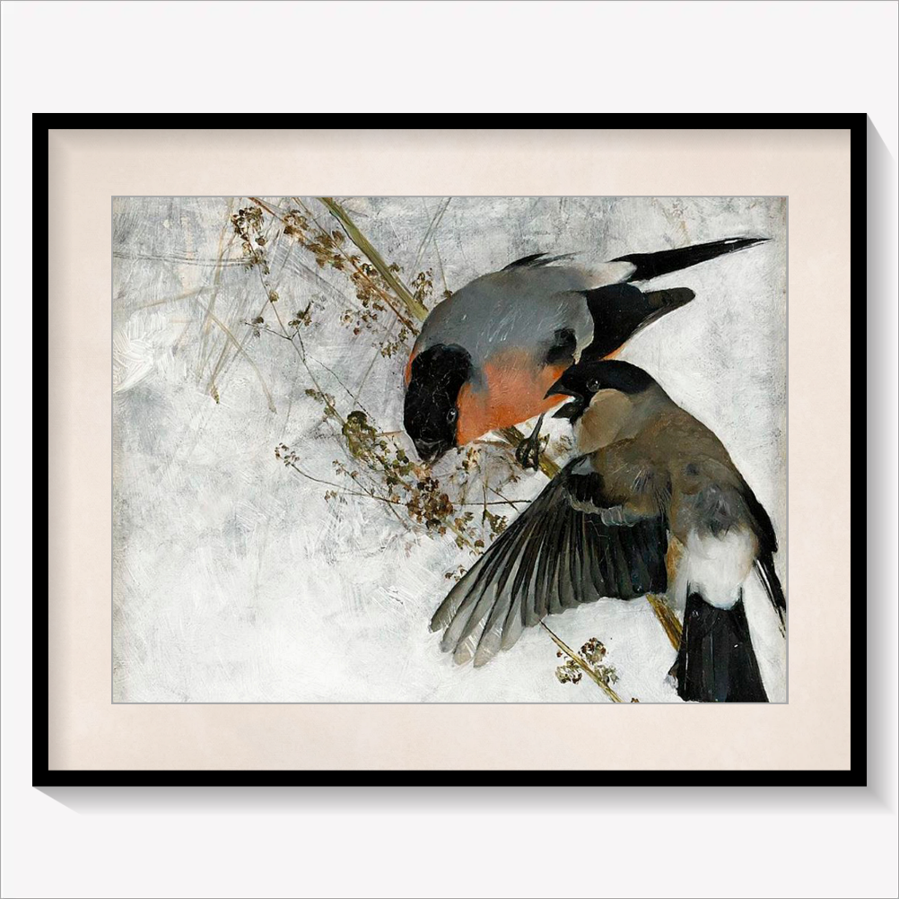Bullfinches