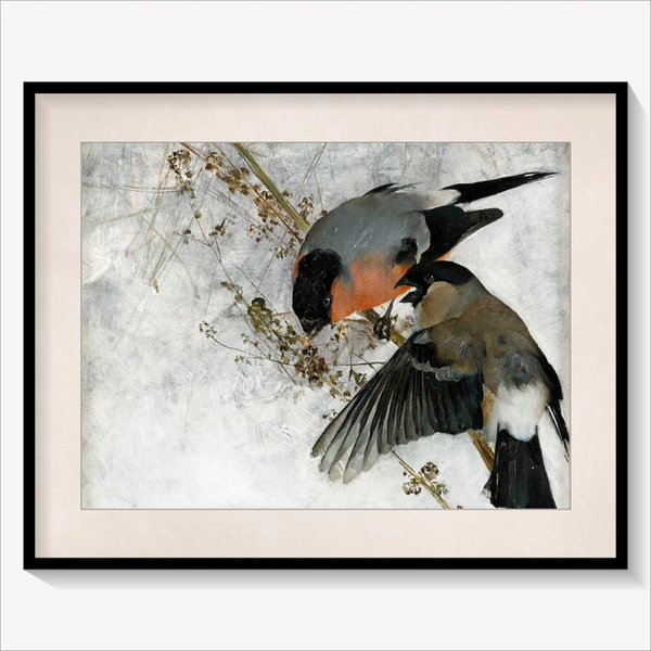 Bullfinches