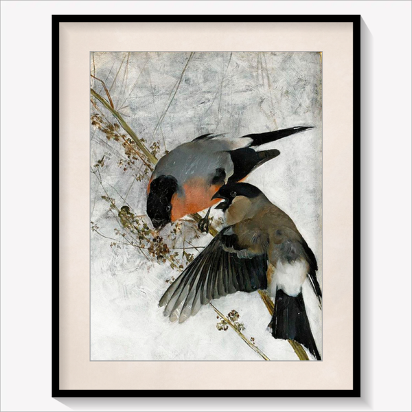 Bullfinches