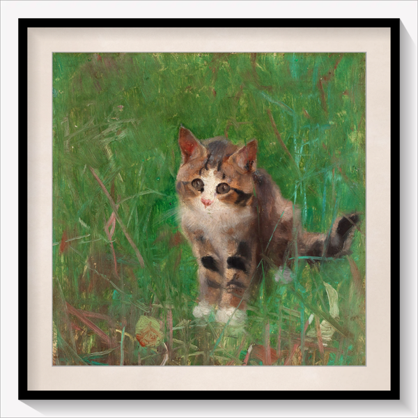 Cat in Summer