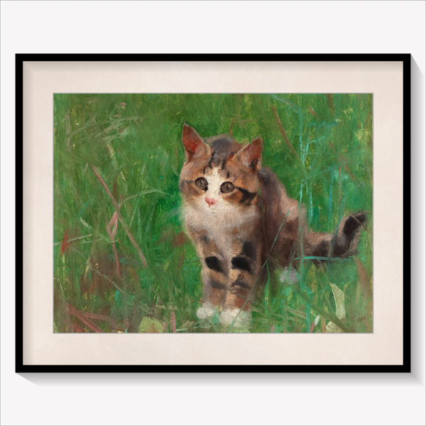 Cat in Summer