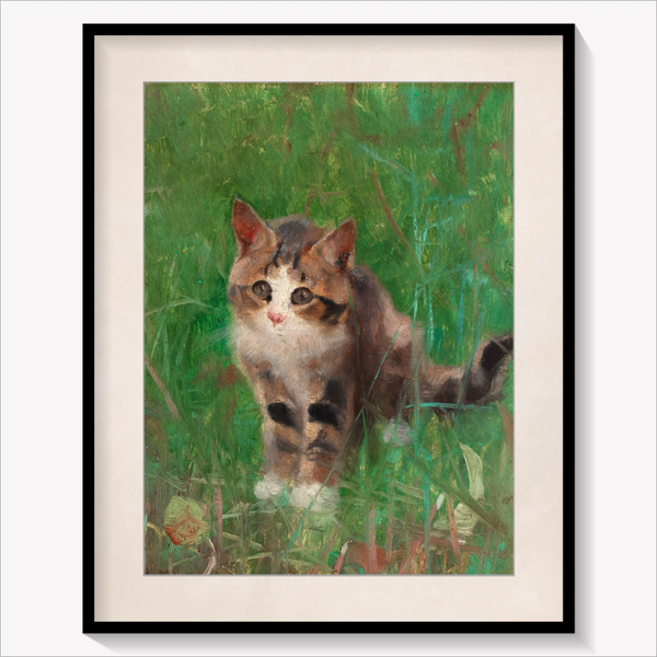 Cat in Summer