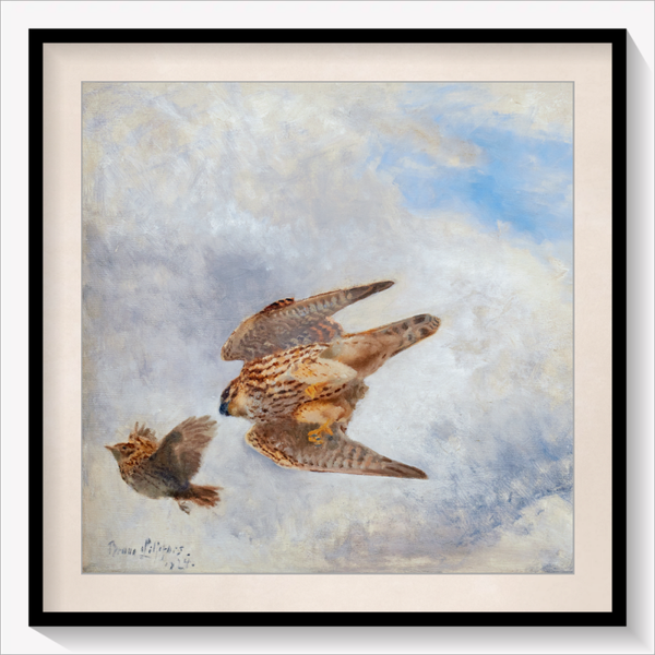 Bird of Prey hunting