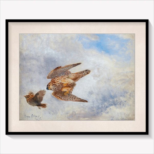 Bird of Prey hunting