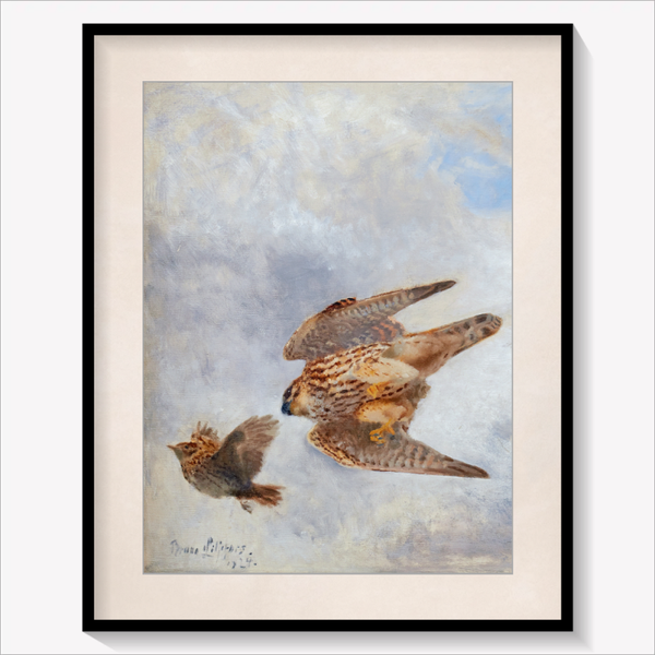 Bird of Prey hunting