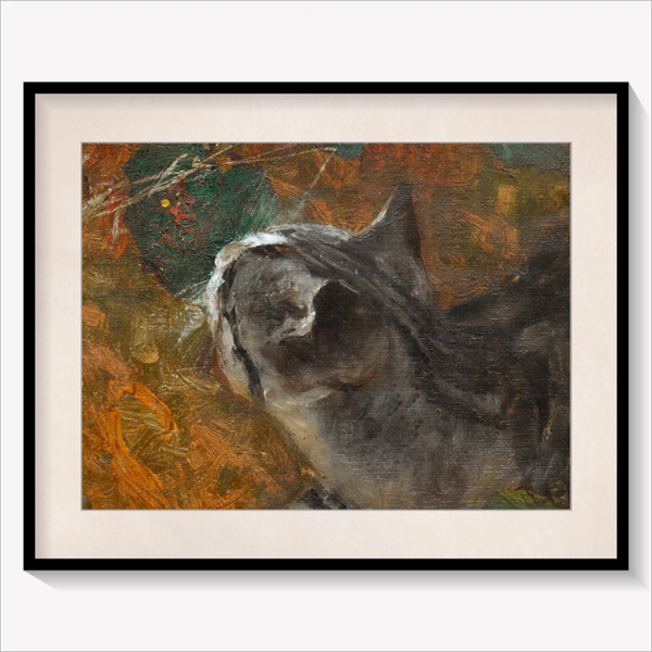 Jeppe the Cat