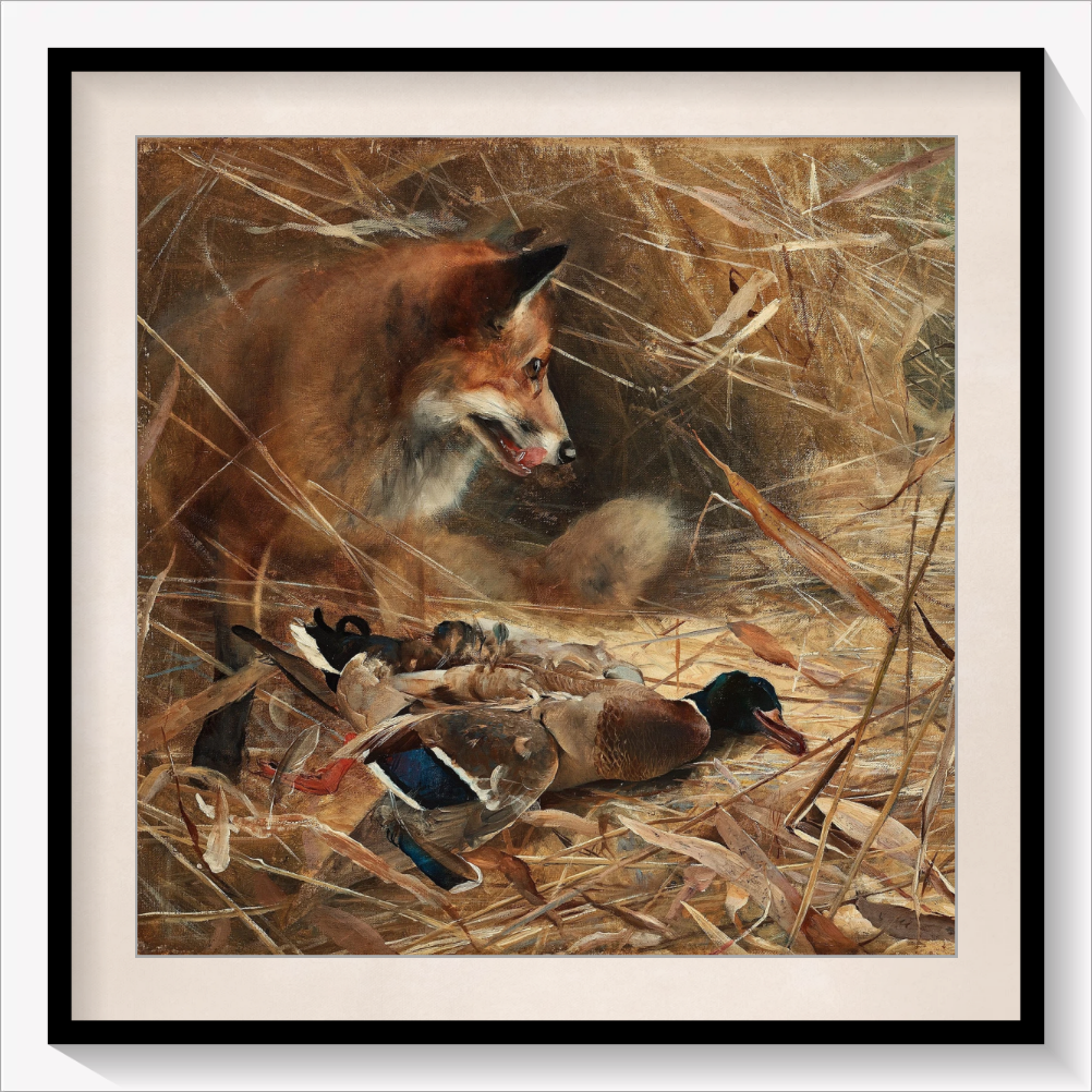 Fox and Magpies