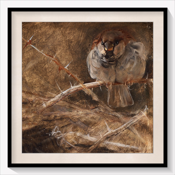 Sparrow