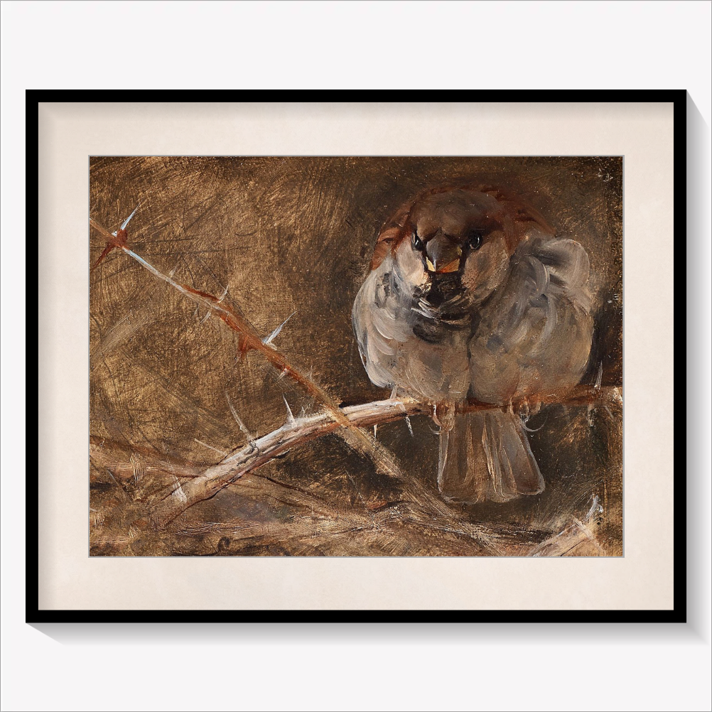 Sparrow