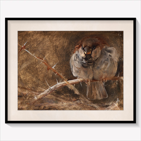 Sparrow
