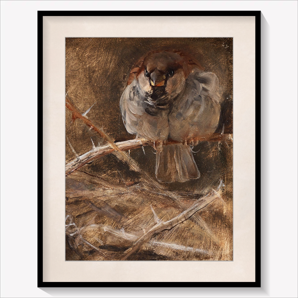 Sparrow