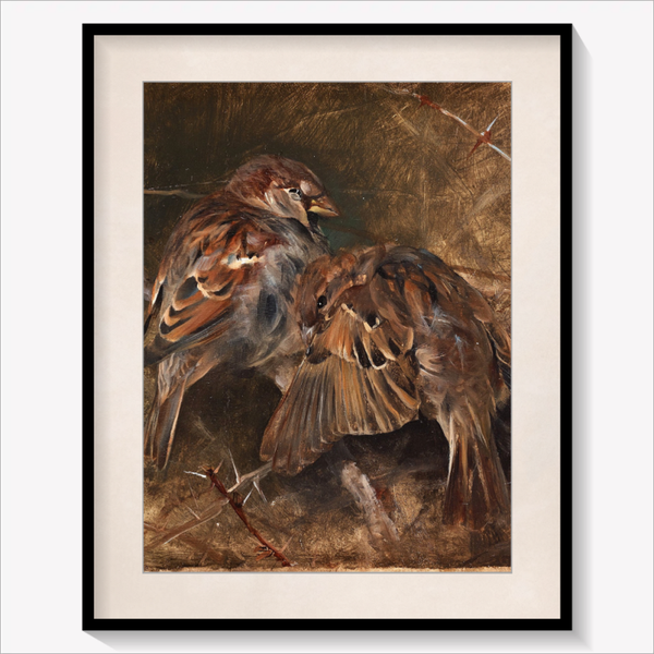 House Sparrows