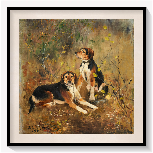 Two scent Hounds