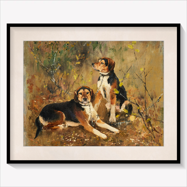 Two scent Hounds