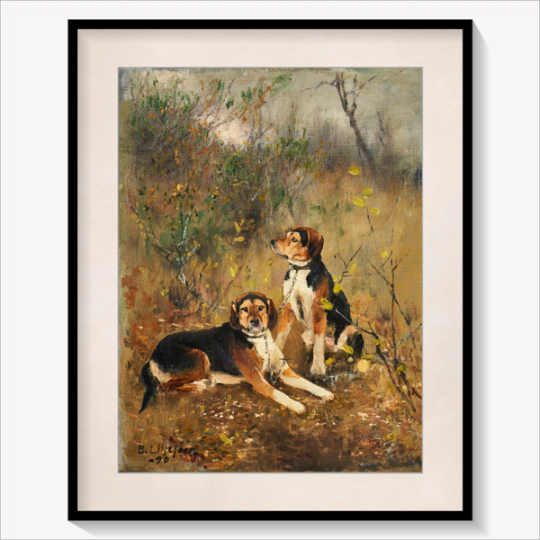 Two scent Hounds