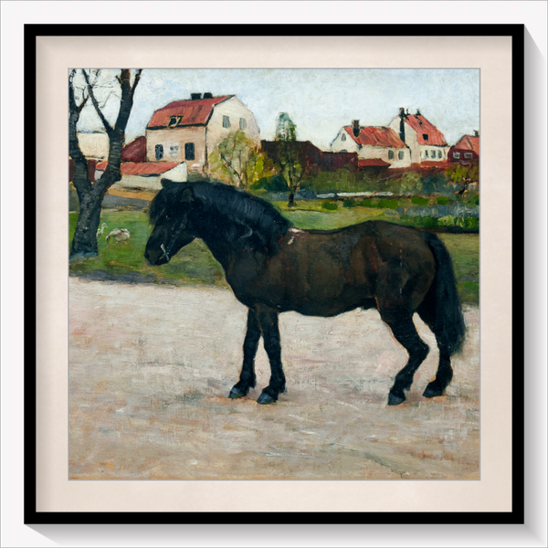 Black Pony