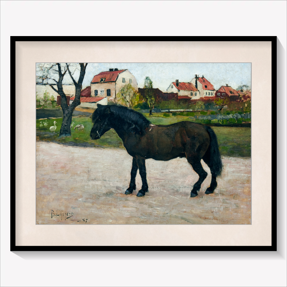Black Pony