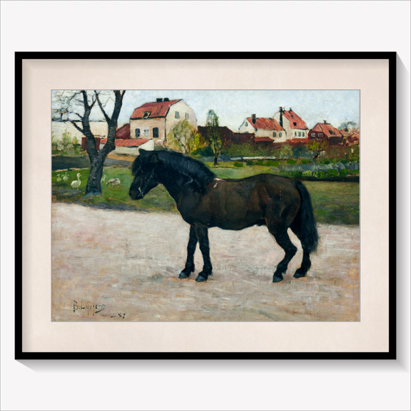Black Pony
