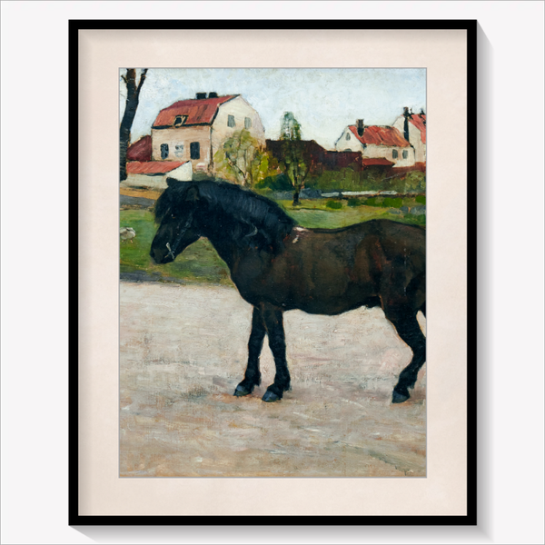 Black Pony