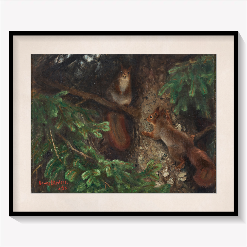 Two Squirrels