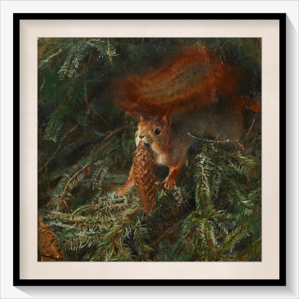 Squirrel