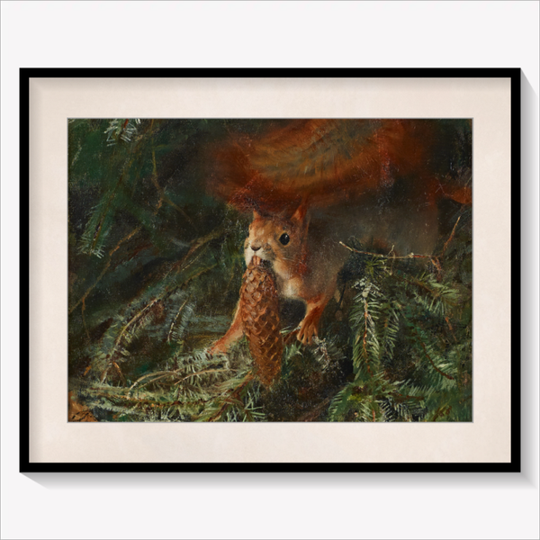 Squirrel