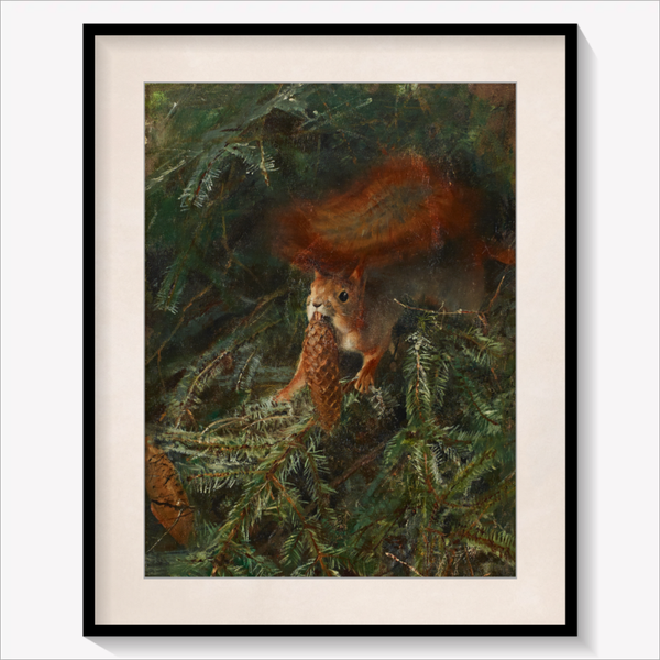 Squirrel