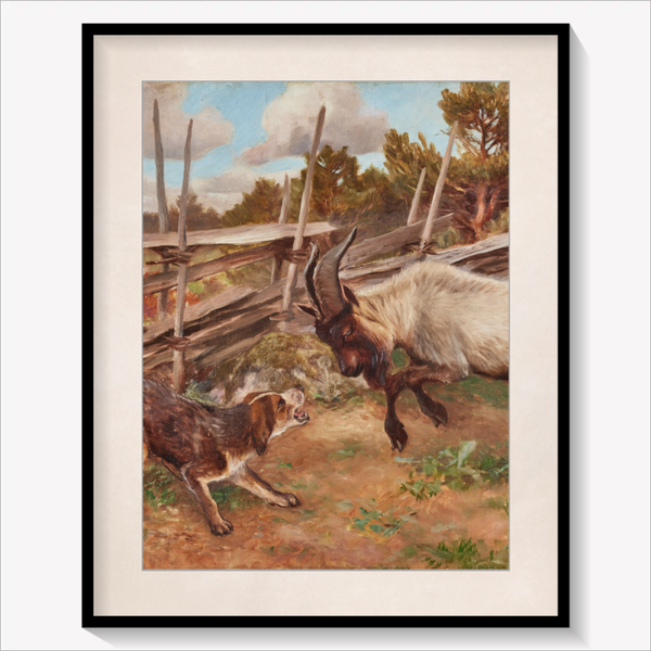 Headbutting Goat