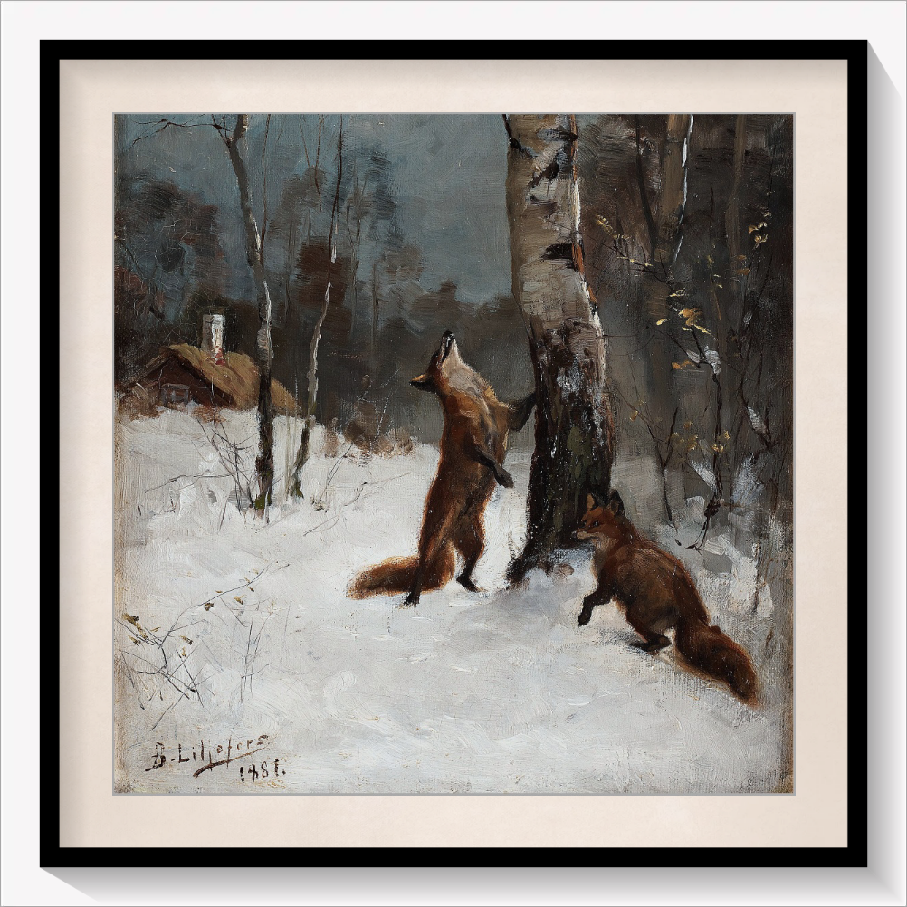 Foxes and Cat