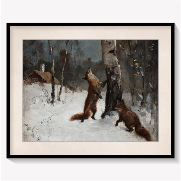 Foxes and Cat